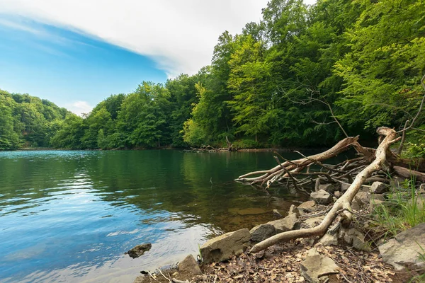 Jezioro Wśród Lasów Puszczy Buk Oko Wodny Położony Górach Vihorlat — Zdjęcie stockowe