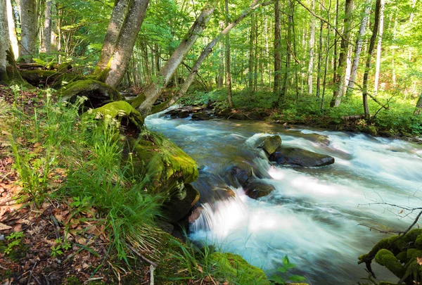 Waldfluss Zwischen Den Felsen Schöne Sommerkulisse Mit Erfrischend Schnellem Fluss — Stockfoto