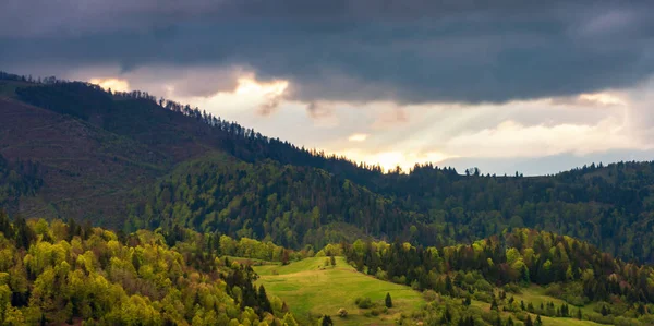 Панорама Прекрасной Сельской Местности Горах Луг Среди Холмов Покрытых Лесами — стоковое фото