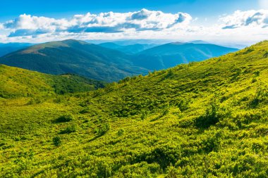 güzel manzara dağlarda. otsu çayır yamaca. güneşli havalarda. kabarık bulutlar gökyüzü üzerinde
