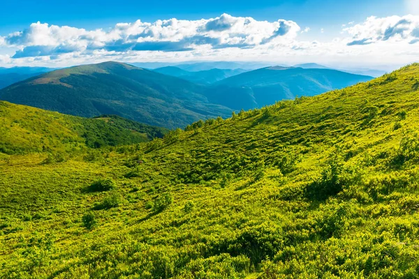 Bellissimo Paesaggio Montagna Prato Erboso Sul Fianco Della Collina Tempo — Foto Stock