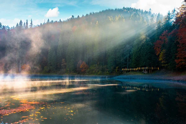秋のアカマツ林の中の湖 山の美しい自然の風景 霧環境の概念 — ストック写真