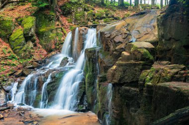 şelale orman. güzel bahar sahne. su kayalık uçurum dışarı geliyor. vahşi hızlı akış. ağaçlar ve yosunlu kayalar arasında düşmüş yapraklar. parlak ve canlı doğa arka plan