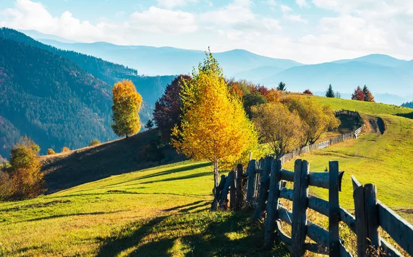 Nádherná Podzimní Krajina Horách Dřevěný Plot Podél Silnice Travnatých Kopcích — Stock fotografie