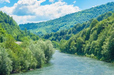 Orman nehir dağlarda. ormanlık hill ve kıyıları. güzel yaz sahne güneşli tam öğle vakti. Mavi gökyüzü üzerinde kabarık bulut