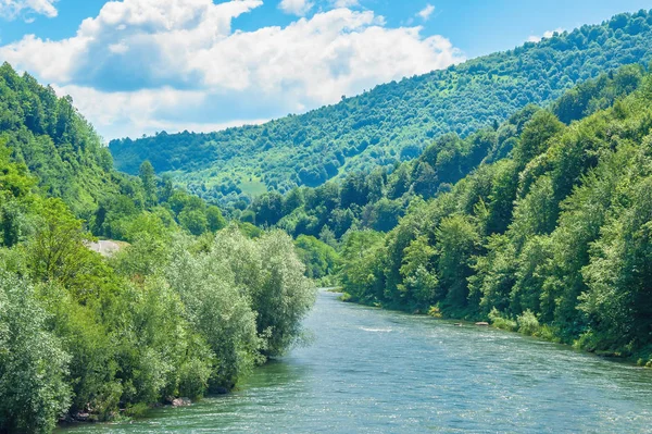 Rivière Forestière Dans Les Montagnes Colline Rivages Boisés Beaux Paysages — Photo