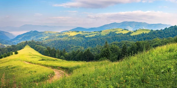 Panorama Paesaggio Campagna Estivo Montagna Sentiero Tortuoso Lungo Pendio Erboso — Foto Stock