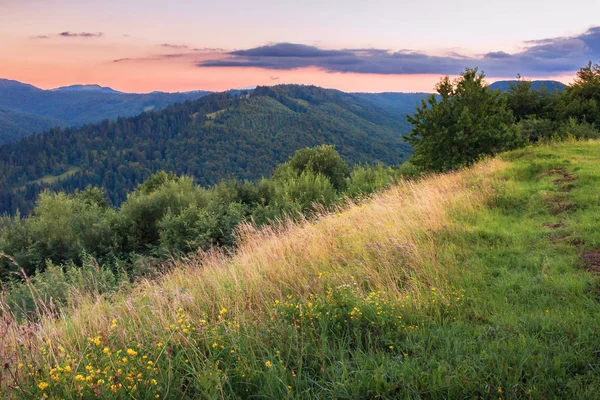 Травянистый Склон Холме Рассвете Красивый Летний Пейзаж Лесной Холм Вдалеке — стоковое фото