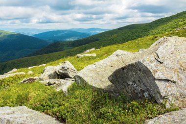 otsu çayır büyük buzlu. güzel yaz manzara dağlarda. güneşli havalarda