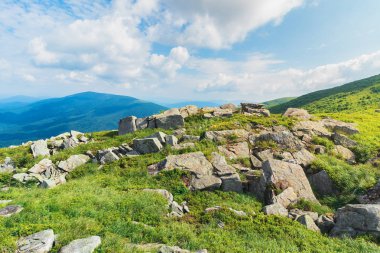 dağ yeşil bir çayırda buzlu. güzel yaz manzara. kabarık bulutlar ile güneşli havalarda