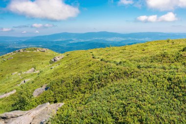 dağlarda harika güneşli manzara. bazı kaya oluşumları ile çimenli Alpin çayır. uzak ridge kabarık bulutlar mavi bir gökyüzü altında. güzel Karpat manzara