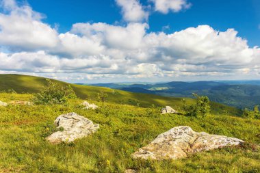 çimenli Alpin çayır üzerinde taşlar. güzel yaz manzara dağlarda. Harika güneşli hava. kabarık bulutlar gökyüzü üzerinde. özgürlük kavramı