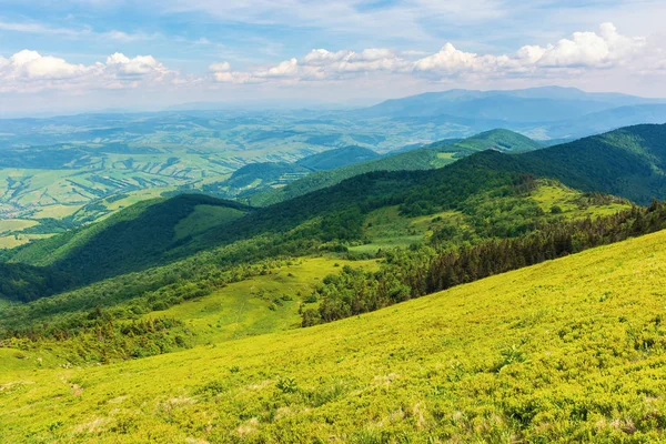 Sommerlandschaft Den Bergen Blick Vom Hügel Herrliches Sonniges Wetter Flauschige — Stockfoto