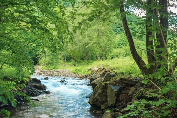 Small creek with rocky shore in the forest — Stock Photo, Image