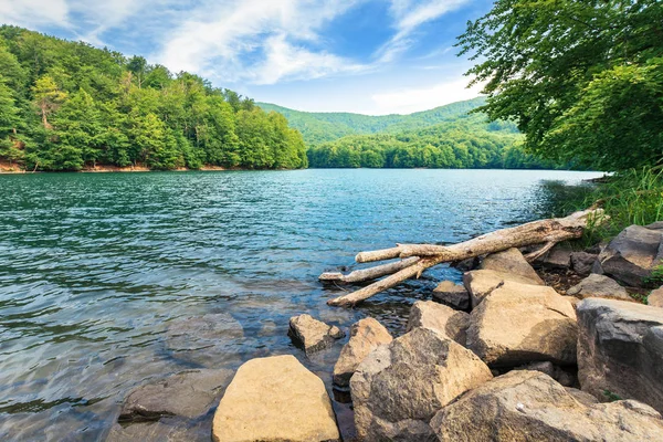 山の湖の近くの美しい夏の風景 — ストック写真