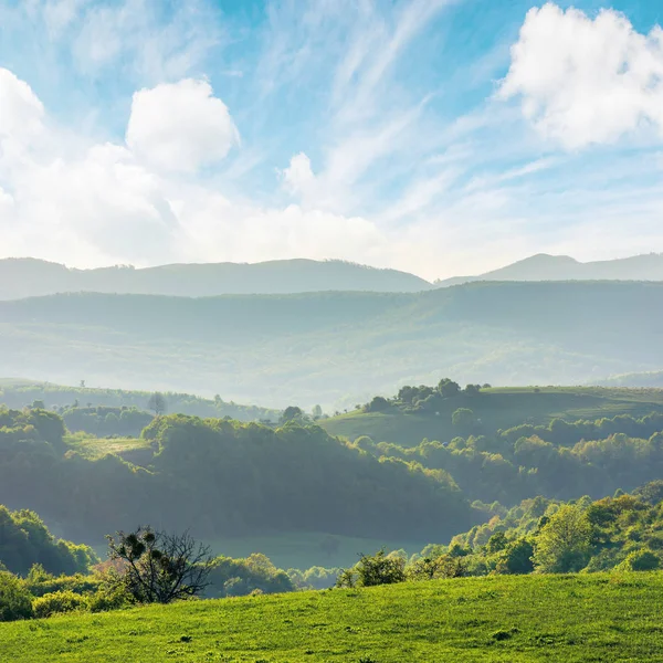 Gröna böljande kullar i Rumäniens landsbygd — Stockfoto