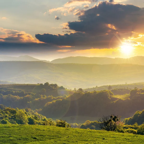 Romanya kırsalının yeşil tepeler