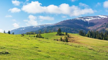 dağlarda güzel bahar manzara