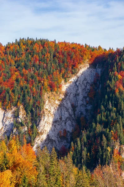 Montaña boscosa con acantilado en otoño —  Fotos de Stock