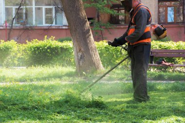 parkta profesyonel çim biçme hizmeti