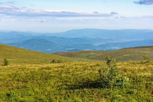 Schöne Sommerlandschaft in den Bergen — Stockfoto