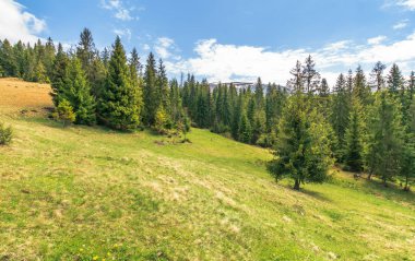 dağlarda güzel bahar manzara