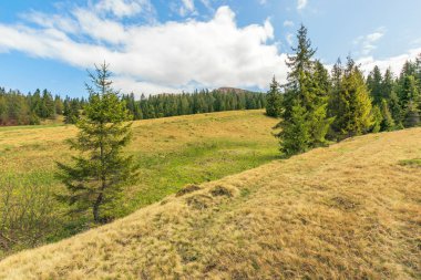 dağlarda güzel bahar manzara