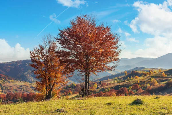 秋天的乡村在山 — 图库照片