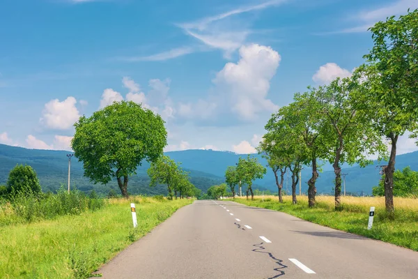 Countryside road in to the mountains — Stock Photo, Image