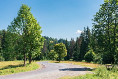 dağlarda kırsal yol olsa
