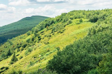 yaz forenoon güzel dağ manzara