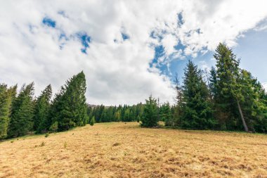 İlkbaharda harika bir kırsal