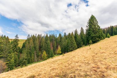 İlkbaharda harika bir kırsal