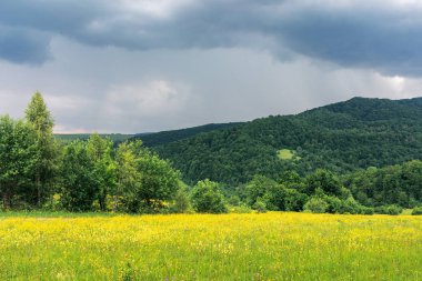 dağlarda kasvetli yaz öğleden sonra
