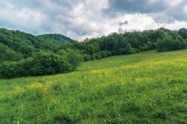 dağlarda kasvetli yaz öğleden sonra