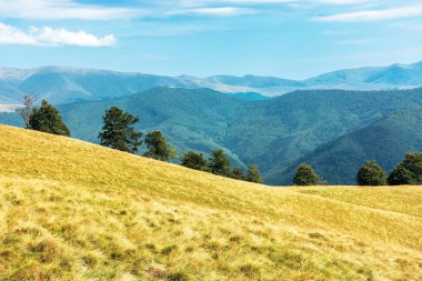 Yazın sonlarında harika dağ manzarası