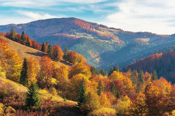 Piękny jesienny poranek w górach — Zdjęcie stockowe