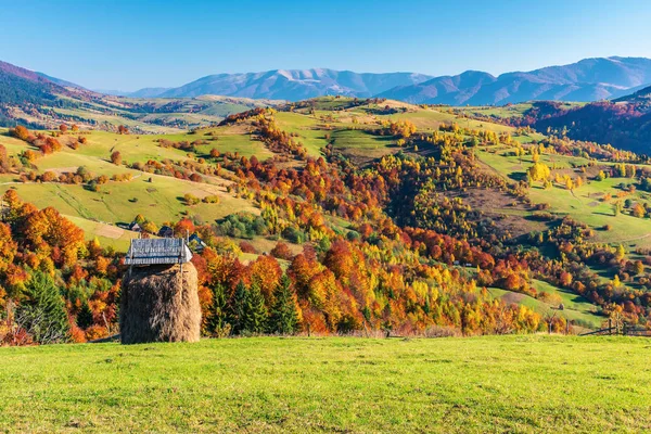 Bergige Landschaft im Herbst — Stockfoto