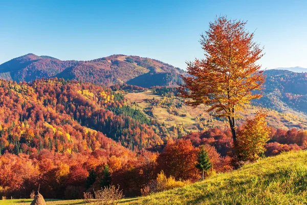 Bergachtig landschap in de herfst — Stockfoto