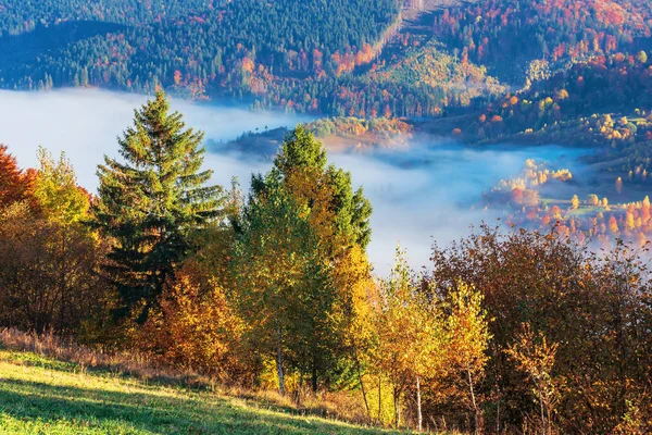 Krásné podzimní ráno v horách — Stock fotografie
