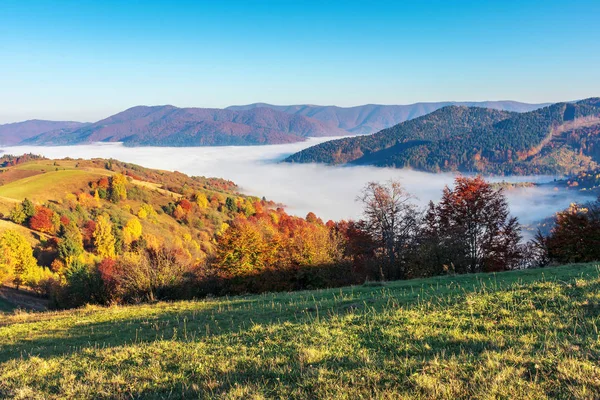 Hermosa mañana de otoño en las montañas — Foto de Stock