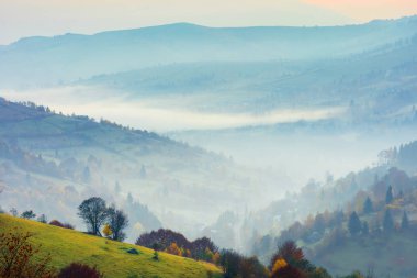 dağda sisli bir gündoğumu kırsal sahne