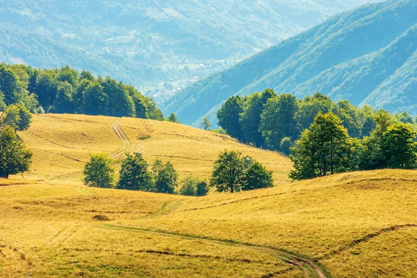 Yaz sonunda güzel kırsal sahne — Stok fotoğraf