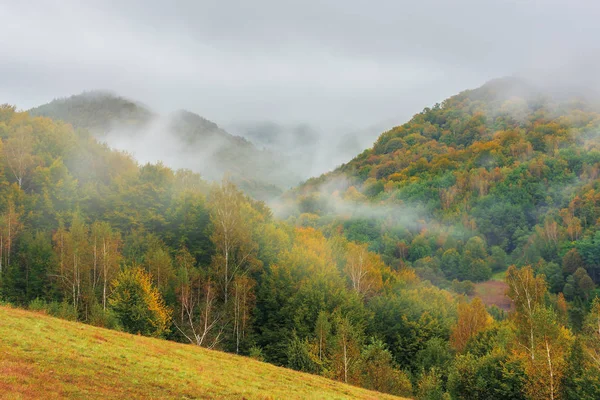 Nádherné přírodní scenérie na podzim — Stock fotografie
