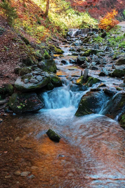 Arroyo con cascada en bosque de haya —  Fotos de Stock