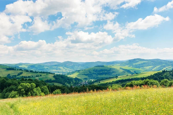 Beautiful summer countryside in mountains — Stock Photo, Image