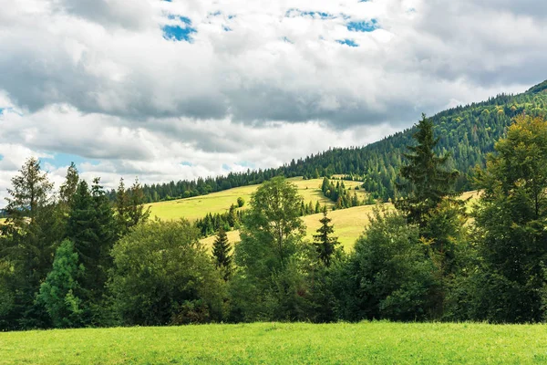 Área rural nas Montanhas Cárpatas — Fotografia de Stock