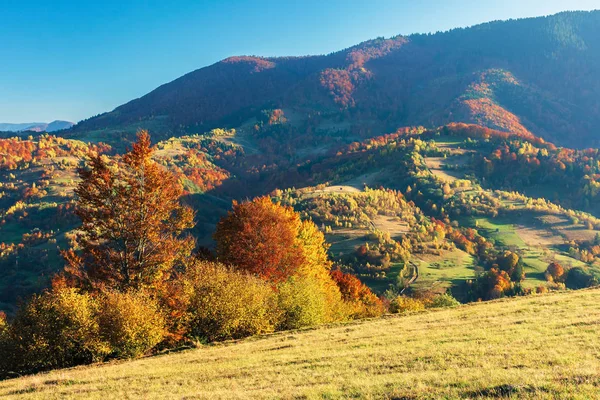 Maravillosa tarde de otoño en las montañas — Foto de Stock