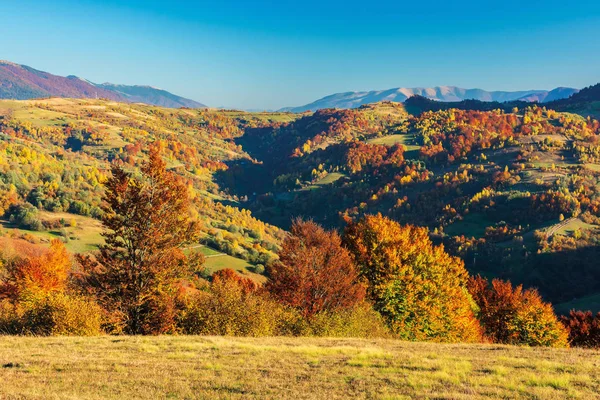 Wunderschöner Herbstnachmittag in den Bergen — Stockfoto