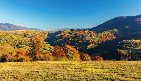 Maravillosa tarde de otoño en las montañas — Foto de Stock